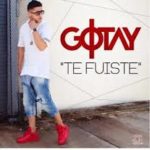 Gotay El Autentiko - Desde Que Te Fuiste MP3